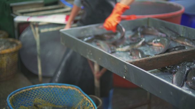 泰国鱼类市场海鲜市场鱼贩子脏乱差
