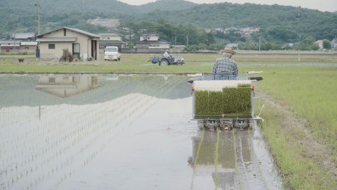 一位老年人驾驶水稻种植机种植水稻的广角镜头