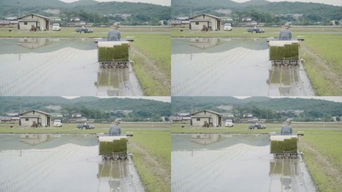 一位老年人驾驶水稻种植机种植水稻的广角镜头