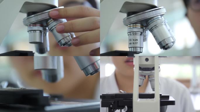 微生物学实验操作显微镜切换镜头演示