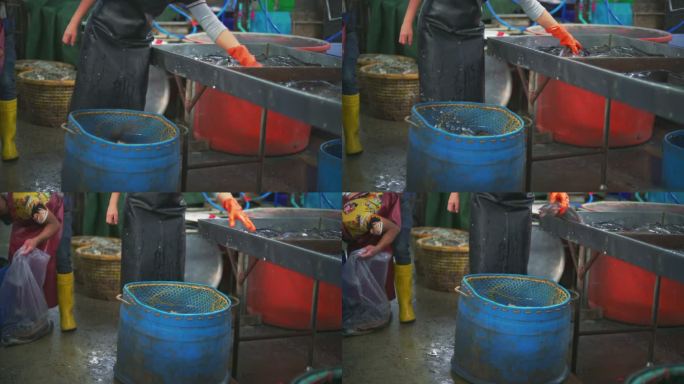 泰国鱼类市场海鲜市场脏乱差