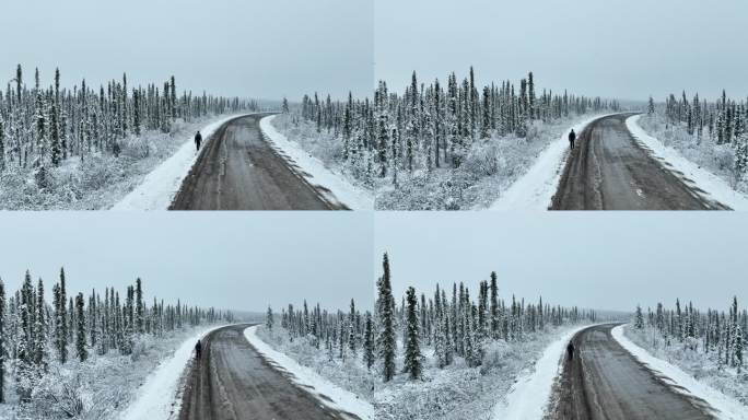 加拿大育空地区徒步旅行中暴风雪后冬季北方自然森林鸟瞰图