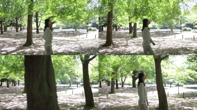 日本女人在公园里散步，在新鲜的绿叶下
