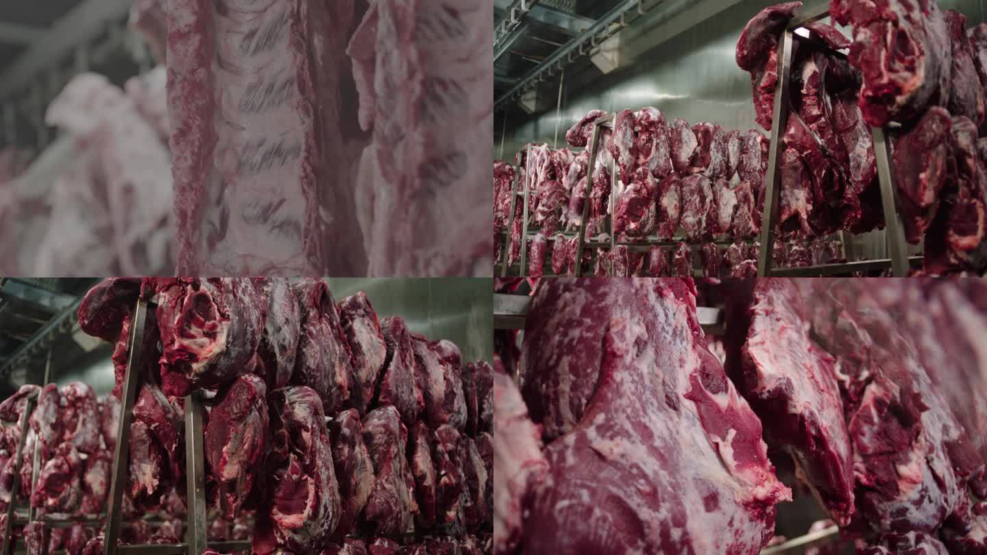 牛肉加工厂 牛肉排酸