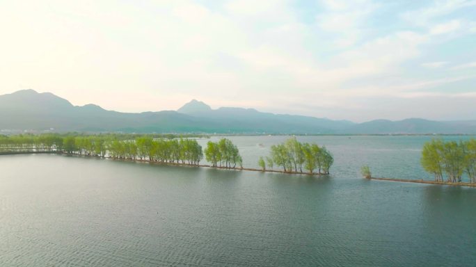 拉市海候鸟湿地公园航拍