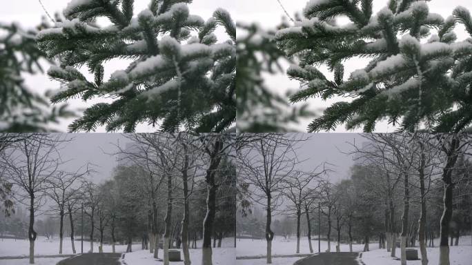 公园中的初雪镜头素材