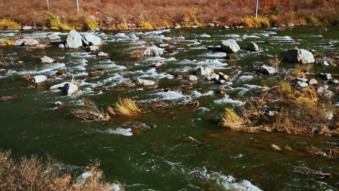 视频素材.深秋山谷中湍急的河流