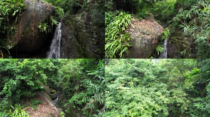 【正版素材】深圳阳台山