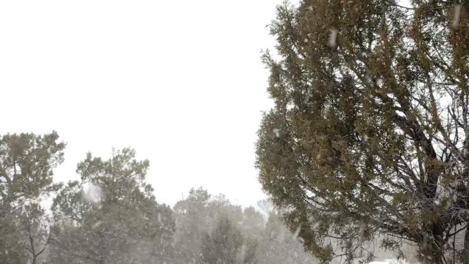 暴风雪暴风雪科罗拉多州冬季山区沙漠和河流极端天气条件降雪视频系列