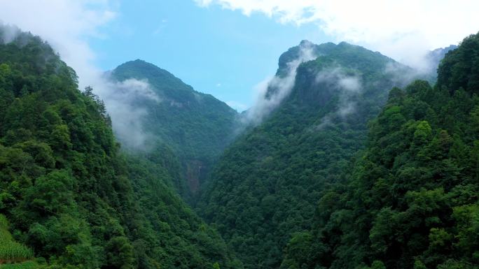 4K航拍壶瓶山山区迷雾缭绕3