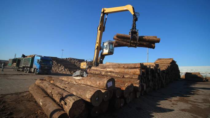 码头装载木材 港口木材进出口装卸