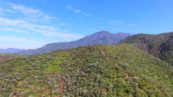 常山油茶公园