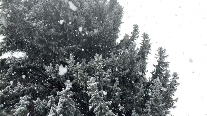 暴风雪暴风雪科罗拉多州冬季山区沙漠和河流极端天气条件降雪视频系列