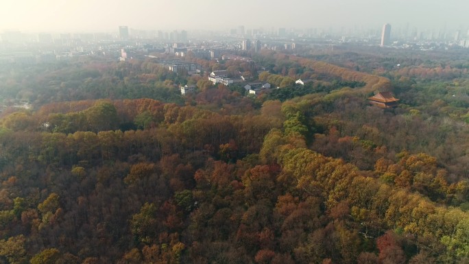 江苏南京中山陵园风景区美龄宫彩林航拍