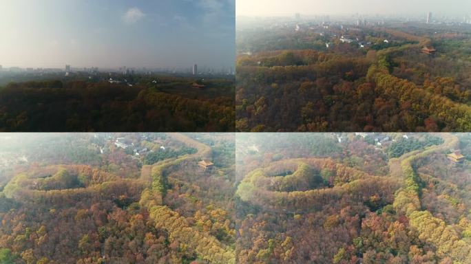 江苏南京中山陵园风景区美龄宫彩林航拍