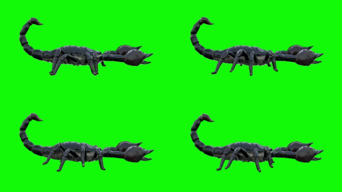 在绿色屏幕上运行蝎子。动物、野生动物、游戏、3d动画、短视频、电影、卡通、有机、色度键、人物动画、设