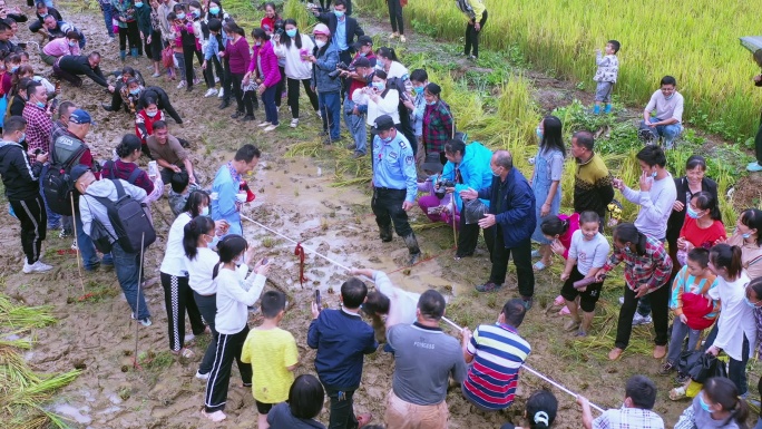 丰收节拔河比赛活动 明仕旅游度假区丰收节