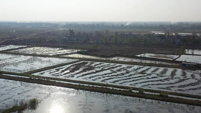 洪湖藕塘 洪湖城市航拍 洪湖莲藕 鱼塘