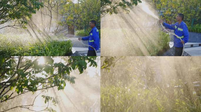 绿化园林工人浇水淋花草树木