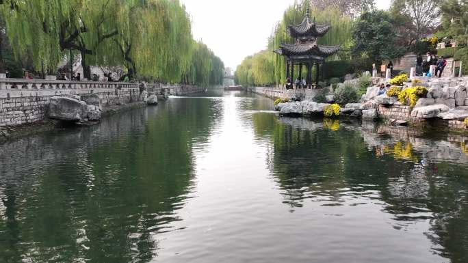 航拍 济南 护城河秋日 垂柳菊花 黑虎泉