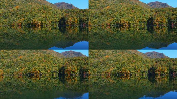 秋天秦岭 湖面 森林