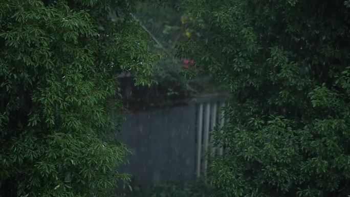 雨天升格