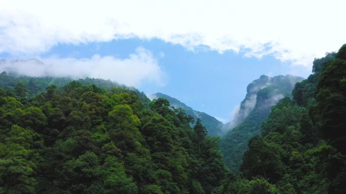 4K航拍壶瓶山山区壶瓶山大峡谷