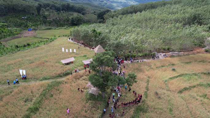 海南白沙青松乡啦奥门雨林山兰文化节活动