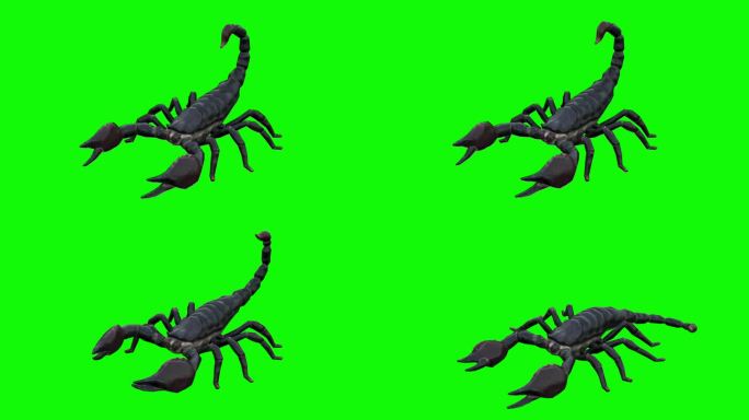 绿色屏幕上的垂死蝎子。动物、野生动物、游戏、3d动画、短视频、电影、卡通、有机、色度键、人物动画、设