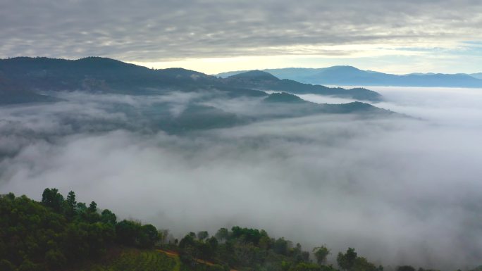 航拍茶山