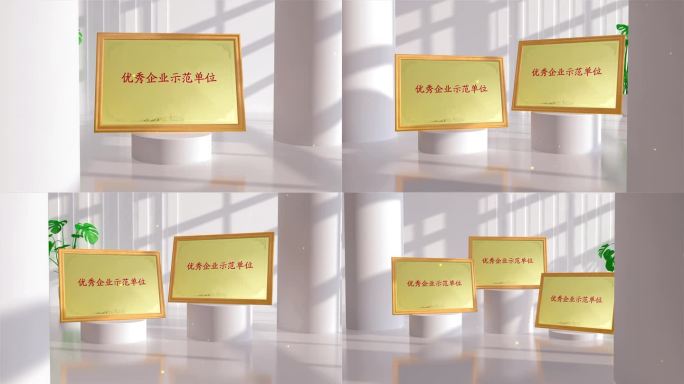 【4k】政府企业奖牌证书展示（横版）