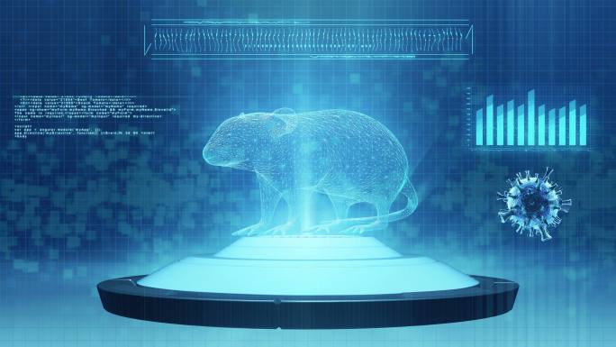 实验室大鼠新冠病毒传播蓝色科技全息影像老
