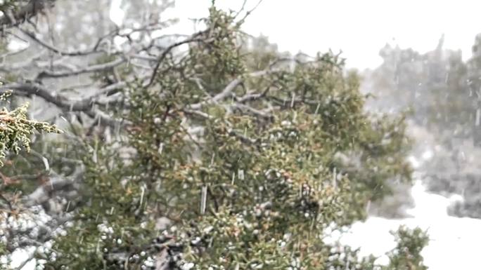 暴风雪暴风雪科罗拉多州冬季山区沙漠和河流极端天气条件降雪视频系列