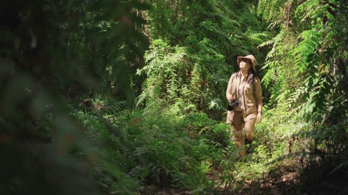 亚洲女探险家带着背包和相机，在夏季的良好氛围下参观和拍摄被许多蕨类植物包围的古老雨林