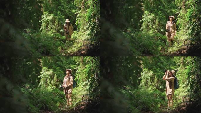 亚洲女探险家带着背包和相机，在夏季的良好氛围下参观和拍摄被许多蕨类植物包围的古老雨林