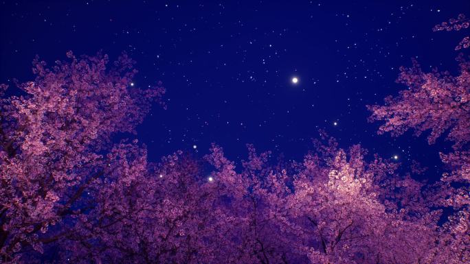 唯美樱花林夜景天空