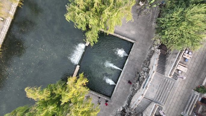 航拍 济南 护城河 秋日 垂柳  黑虎泉