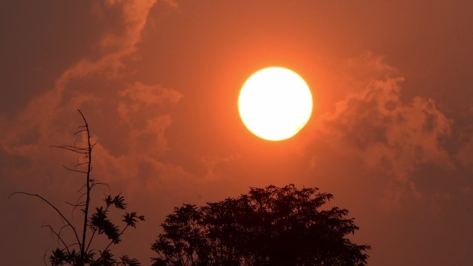 鸟踏夕阳西下