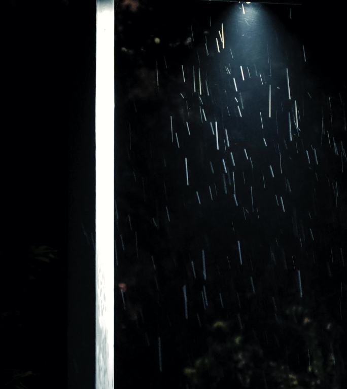 雨夜里路灯照亮的雨丝（竖屏）