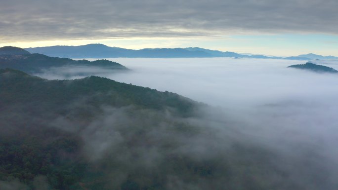 航拍茶山