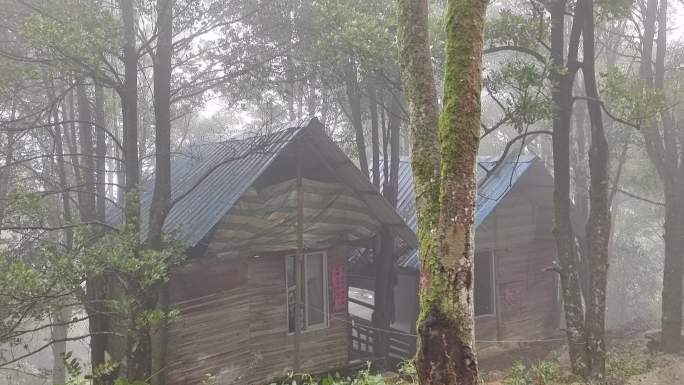 森林里的破旧木屋