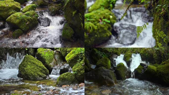 唯美生态流水山水清泉石头苔藓高清视频