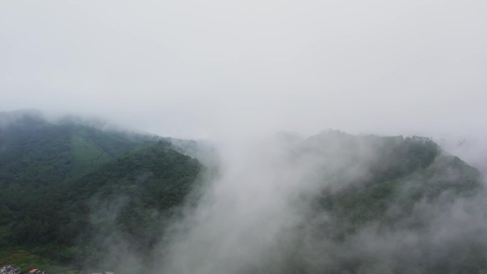 绿色生态森林雨后云雾缭绕