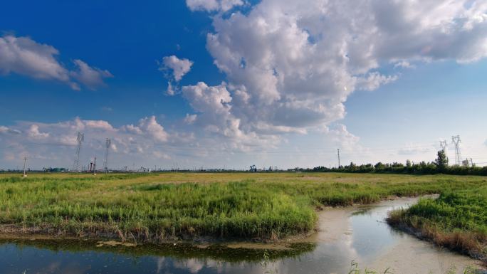 大庆油田 石油开采 石化产业