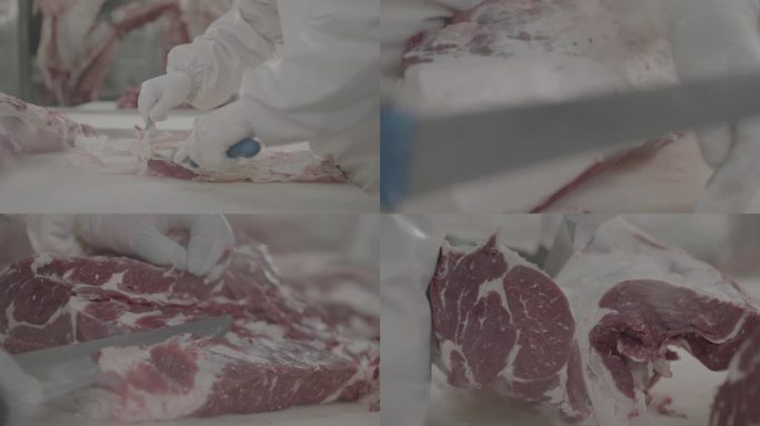 牛肉加工厂 切割小块牛肉