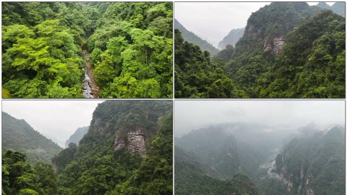 金秀古沙沟生态旅游景区岭祖大峡谷