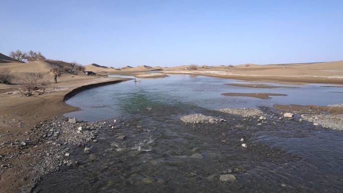 沙漠戈壁河流芦苇黑水河