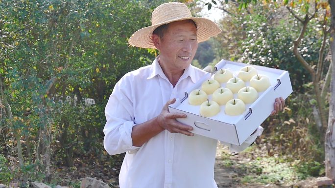 奶油富士苹果