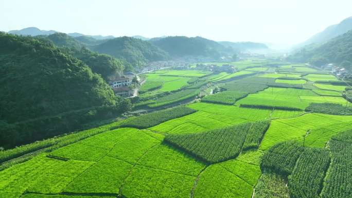 航拍山区水库农田