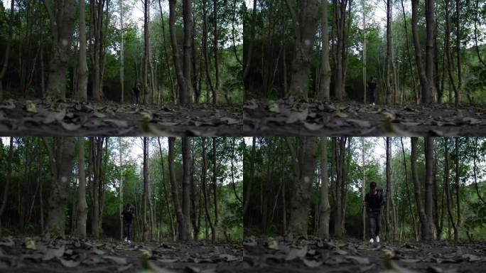 驴友徒步经过小树林